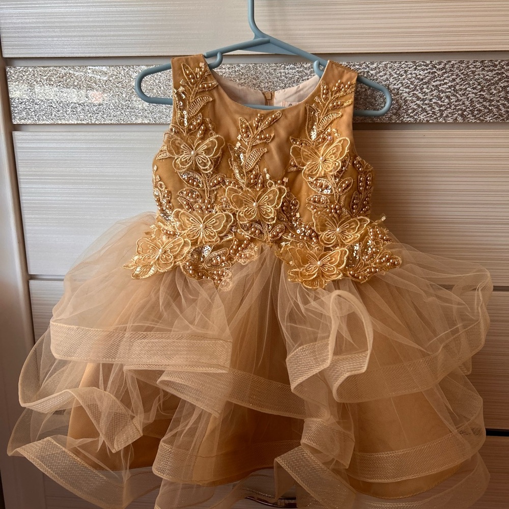 Elegant Gold Embellished baby Dress